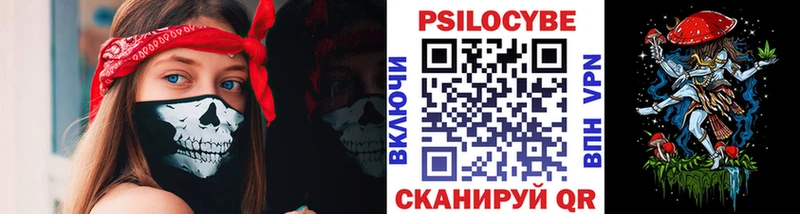 Псилоцибиновые грибы GOLDEN TEACHER  MEGA tor  Ессентукская 