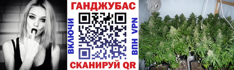 Шишки марихуана ГИДРОПОН  как найти   OMG вход  Ессентукская 